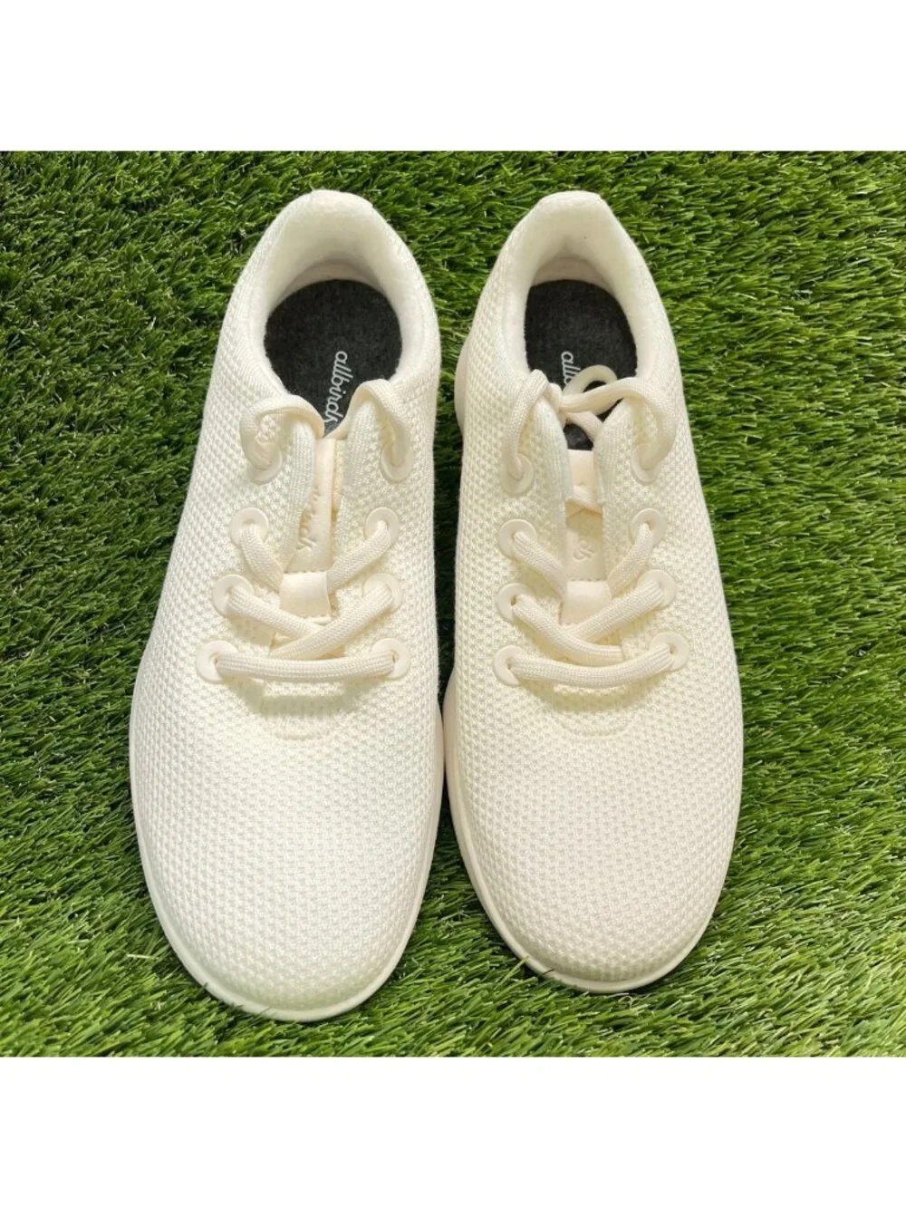 allbirds please review